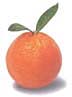 Click here to visit The Villages of Citrus Hills